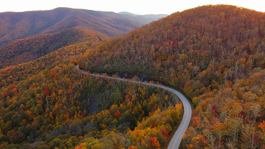 2. South Carolina